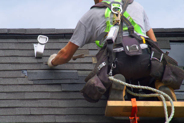 Best Flat Roof Repair Services  in Greenville, MI