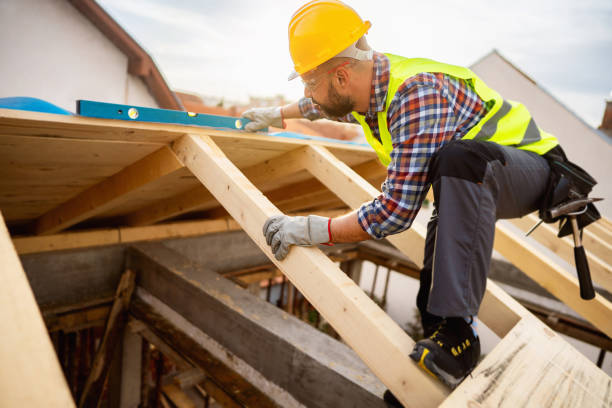 Best Roof Maintenance Services  in Greenville, MI