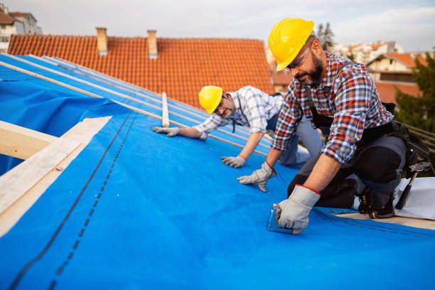 Roof Gutter Cleaning in Greenville, MI