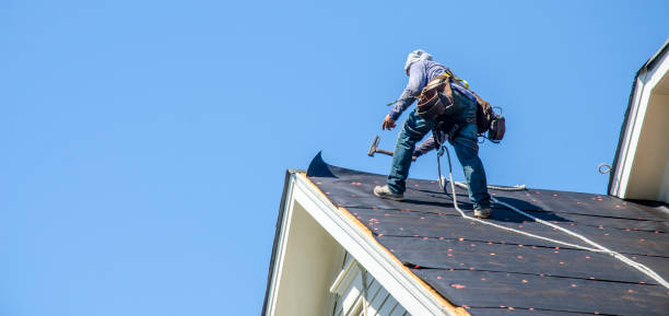 Best Gutter Installation and Roofing  in Greenville, MI